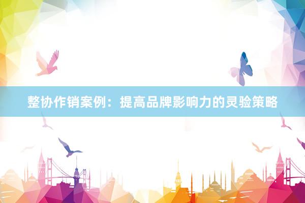 整协作销案例：提高品牌影响力的灵验策略